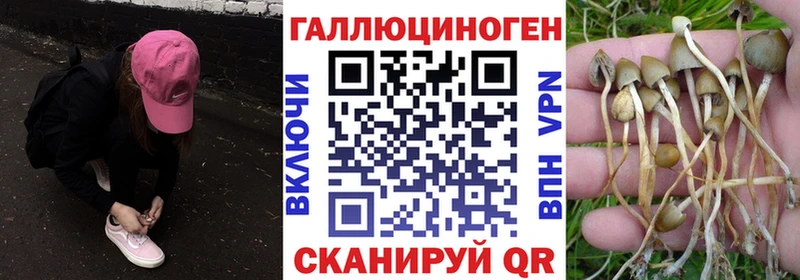 Галлюциногенные грибы GOLDEN TEACHER  цена   Лангепас 
